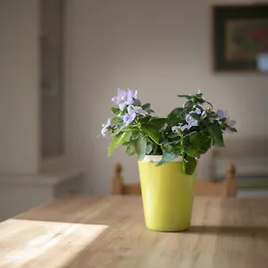 La Sosta Del Pellegrino Appartamento
